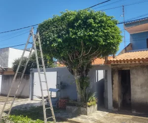 Jardinagem FR - Fotos (2)