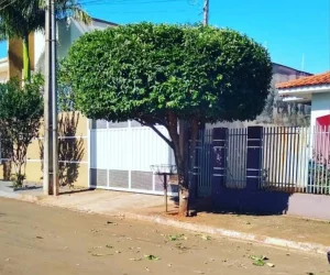 Jardinagem FR - Fotos (4)