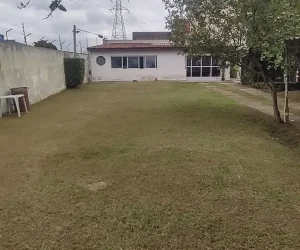 Jardinagem FR - Fotos (5)