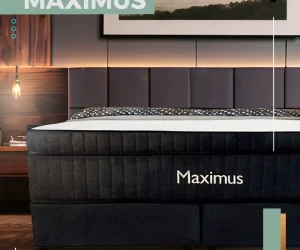 Maximus-Colchoes-Fotos-1