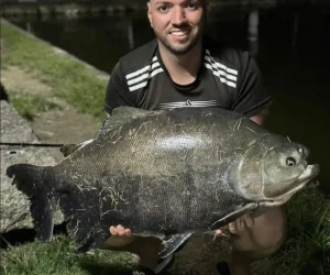 Pesqueiro Rancho da Pesca Fotos (1)