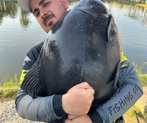 Pesqueiro Rancho da Pesca Fotos (3)