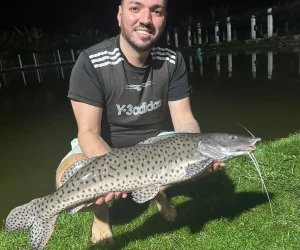 Pesqueiro Rancho da Pesca Fotos (8)