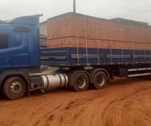 Tijolos-Tatui-Foto-1