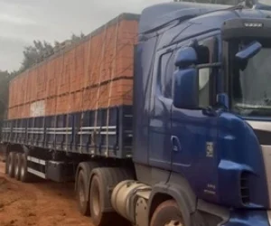 Tijolos-Tatui-Foto-14